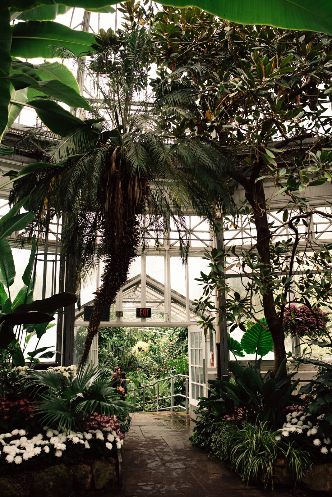 allan gardens palm greenhouse
