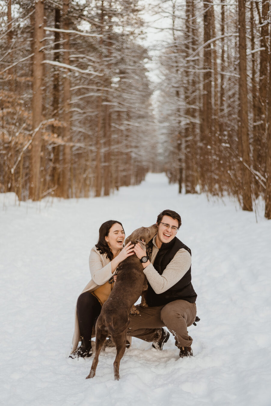 snowy winter engagement photos with dog