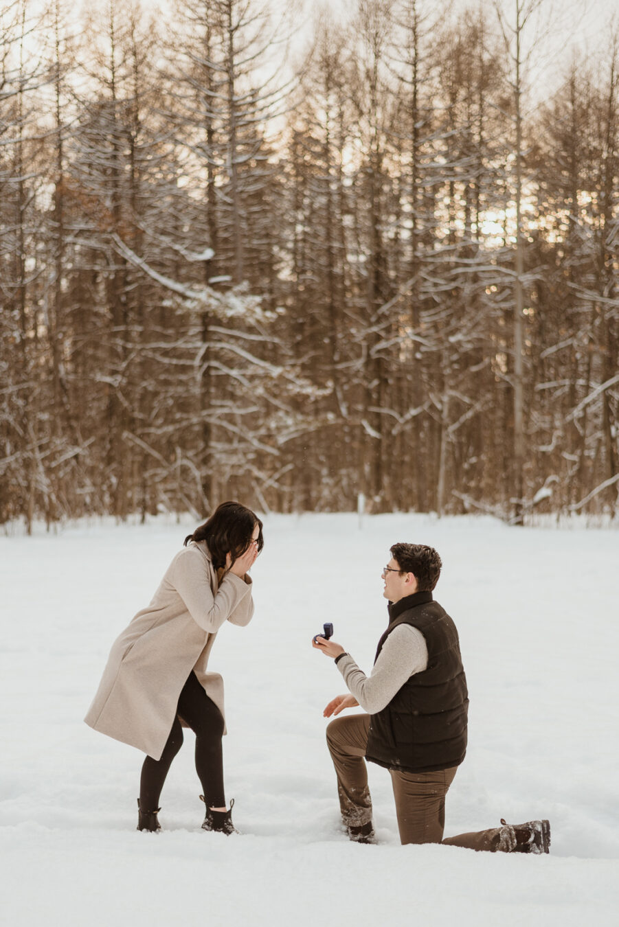 snowy winter proposal in the gta