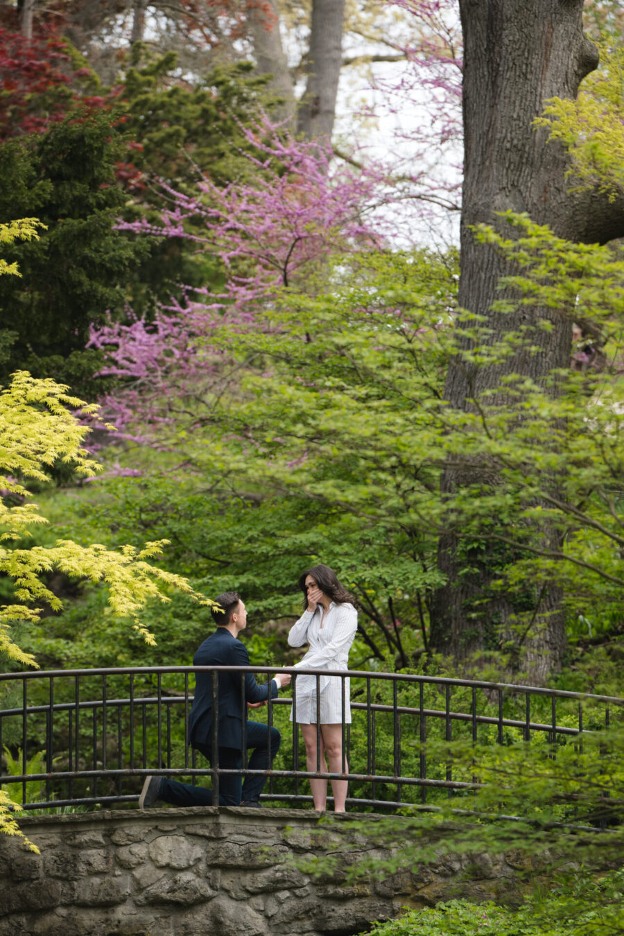 high park surprise proposal photos