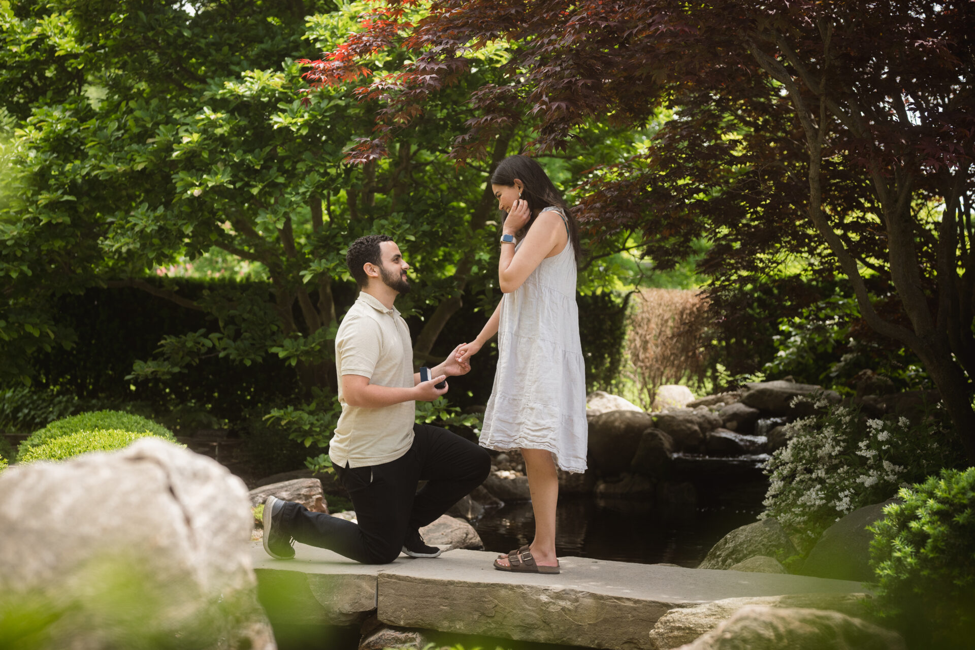 kitchener surprise proposal photos